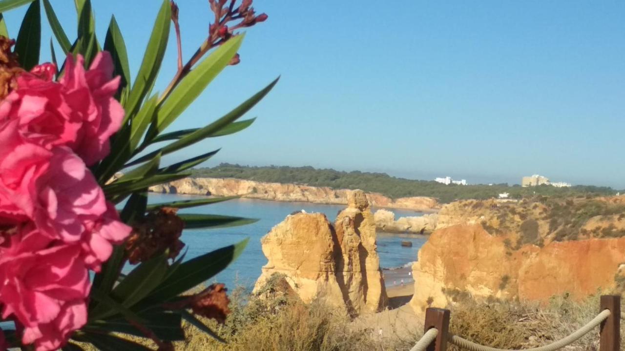 Albur Village B - Hyacinth Alvor Exteriör bild
